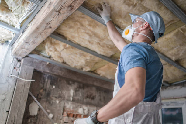 Best Commercial Insulation in Mayer, MN