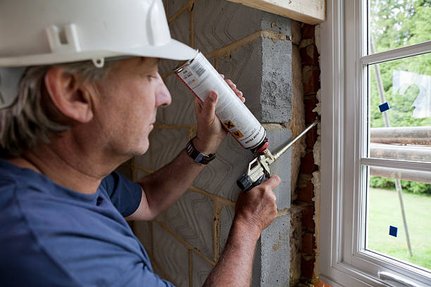 Best Insulation Installation Services in Mayer, MN