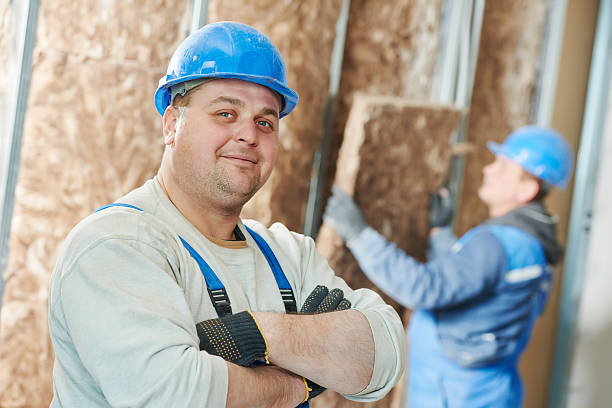 Best Residential Insulation in Mayer, MN